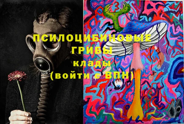 СК Михайлов