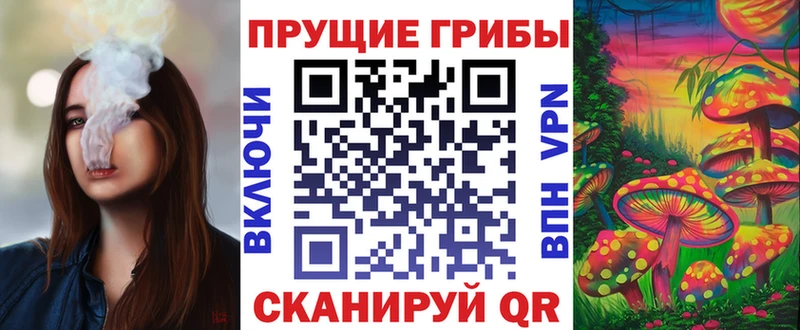Псилоцибиновые грибы мухоморы  omg вход  Вихоревка  цены наркотик 